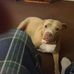 Brian Beaty - Facebook