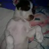 Brian Becerra - @brianbecerra24 - TikTok