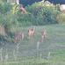 Brian Bedient - Facebook