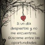Brian Zambrana Bedoya - @zambranabedoya - Instagram