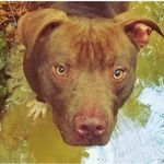 Brian Scott Bedsole - @farmerbrianbrown - Instagram