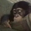 Bryan - @bryanbiechler - TikTok