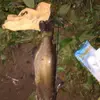 brianbeers007BrianBeers - @brianbeers007 - TikTok