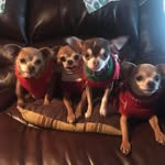 Bryan Beeson - @beehive1960 - Instagram