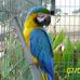 Brian Beetham - Facebook