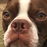 Brian Beggs - @brian.beggs - Instagram