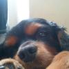 BRIAN - @brian_behan - TikTok