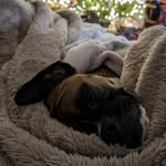 Brian Behnke - @geeksquad83 - Instagram