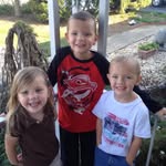Brian Beierle - @bmbtiger - Instagram