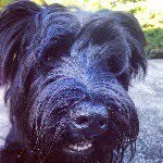 Brian Beierle - @bbeierle - Instagram