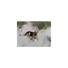 brian beirens - @brian.beirens - TikTok