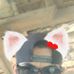 Brian Biares - Facebook
