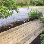 Brian Beirne - @brian.beirne.501 - Instagram