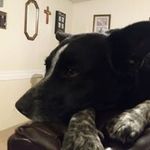 Brian Bellant - @brianbellant - Instagram