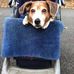 Brion Beller - Facebook