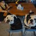 Brian Bellinger - Facebook