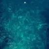 brianna bellinger  - @brianna.bellingerr - TikTok