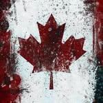 Brian Belliveau - @bbelliveau81 - Instagram