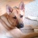 Bryan Bence - Facebook