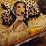 @beneschbrian393 - Instagram