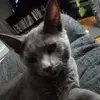 brianberard636 - @brianberard636 - TikTok
