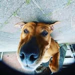 brian berends - @brian.berends - Instagram