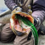 Brian Bergeson - @riplipsmuskyfly - Instagram