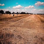 Brian Bernat - @brian.bernat - Instagram