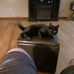 Brian Berube - Facebook