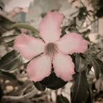 Brian Biddiscombe - @biddiscombe_designs - Instagram