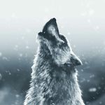 Brian Bjorklund - @brianbjorklund - Instagram