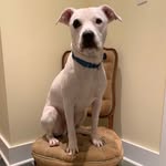 Brian Blakely - @b.blakely_parts - Instagram