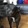 brianblakely01 - @sophieleebla - TikTok