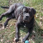 Brian Blanton - Facebook