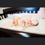 Brian Blanton - @brian.blanton.3956 - Instagram