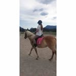 Brian Blanton - @brianblanton7 - Instagram