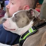 Brian Blocker - @brian.blocker - Instagram