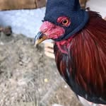 Brian Blocker - @blocker.78 - Instagram