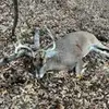 Brianna Blodgett - @brianna.blodgett - TikTok