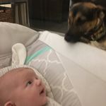 Brian Blum - @bblum33 - Instagram