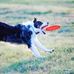 Brian Blumberg - Facebook