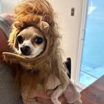 Brian Bobbitt - @bobbitt.brian - Instagram