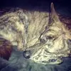 brianbock187 - @brianbock187 - TikTok