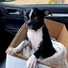 brianbodnar67 - @brianbodnar67 - TikTok