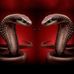 Bryan Bodnar - Facebook
