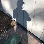 Brian Bogner - @bognerbrian - Instagram