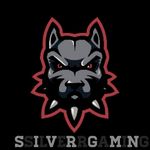 Brian Bolger - @ssilverr_gaming - Instagram