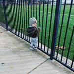 Brian Boltz - @boltzbrian - Instagram