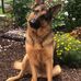 Brian Bonneau - Facebook
