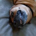 Brian Bonser - @brianbonser - Instagram